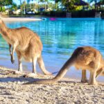 The Top 10 Family Getaways  in Australia