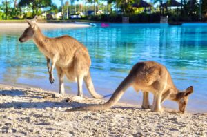 Read more about the article The Top 10 Family Getaways  in Australia